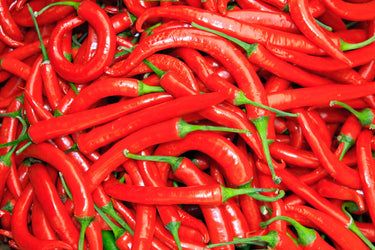 300 LONG Red CAYENNE PEPPER Capsicum Annuum Vegetable Seeds